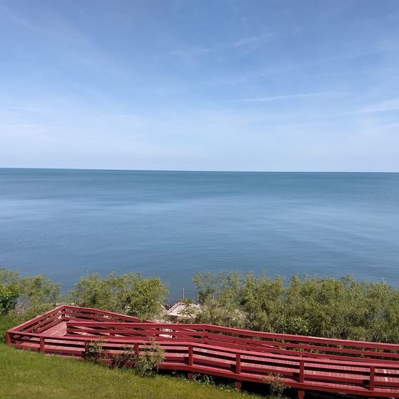 Meet your Posher, Patty - Picture 1 of 1